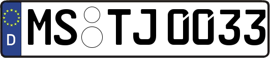 MS-TJ0033