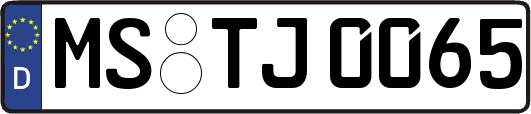MS-TJ0065