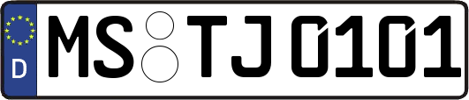 MS-TJ0101