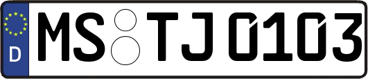 MS-TJ0103