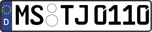 MS-TJ0110