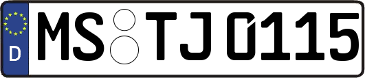 MS-TJ0115