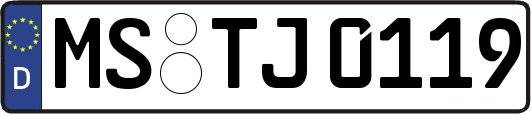 MS-TJ0119