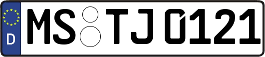 MS-TJ0121