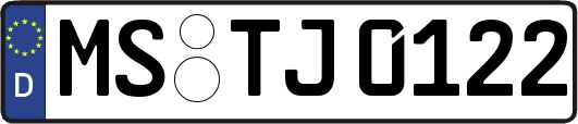MS-TJ0122