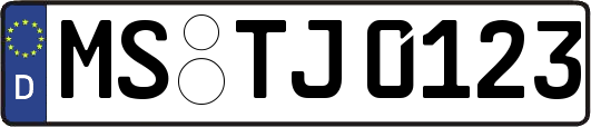 MS-TJ0123