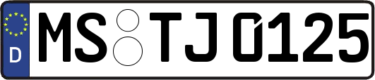MS-TJ0125