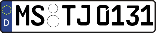 MS-TJ0131
