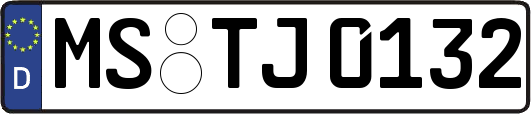 MS-TJ0132