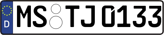 MS-TJ0133