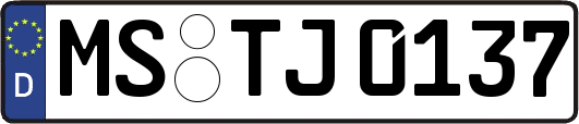 MS-TJ0137