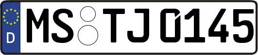 MS-TJ0145