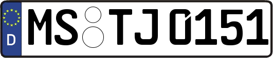 MS-TJ0151