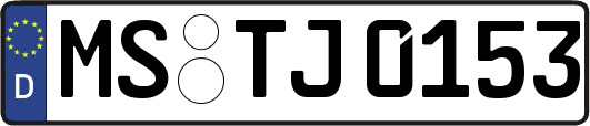MS-TJ0153
