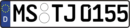 MS-TJ0155