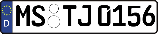 MS-TJ0156