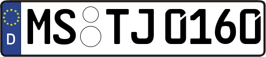 MS-TJ0160