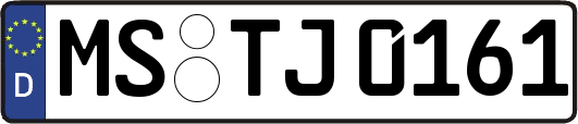 MS-TJ0161