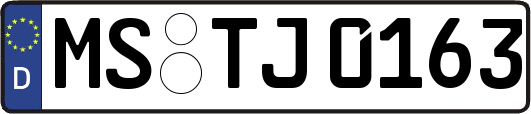 MS-TJ0163
