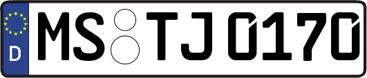 MS-TJ0170