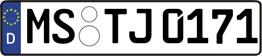 MS-TJ0171