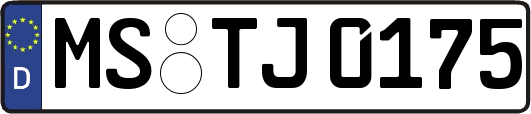 MS-TJ0175