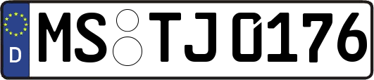 MS-TJ0176