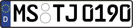 MS-TJ0190