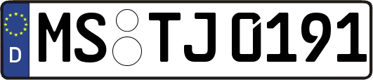 MS-TJ0191