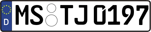 MS-TJ0197