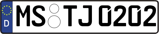 MS-TJ0202