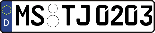 MS-TJ0203