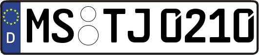 MS-TJ0210