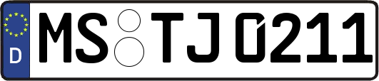 MS-TJ0211