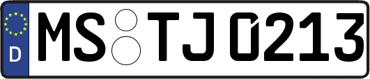 MS-TJ0213