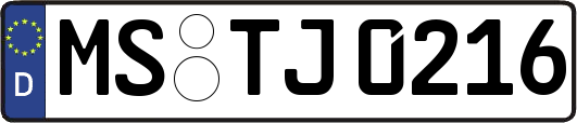 MS-TJ0216