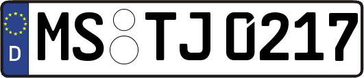 MS-TJ0217