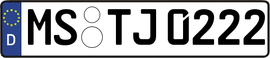 MS-TJ0222