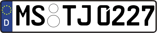 MS-TJ0227