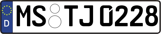 MS-TJ0228