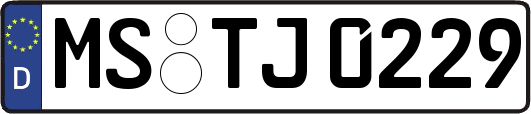 MS-TJ0229