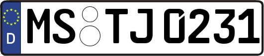 MS-TJ0231