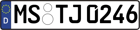 MS-TJ0246
