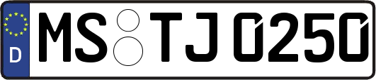 MS-TJ0250
