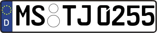 MS-TJ0255