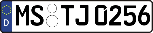 MS-TJ0256