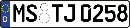 MS-TJ0258