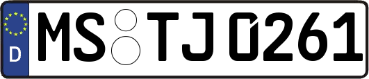 MS-TJ0261