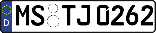 MS-TJ0262
