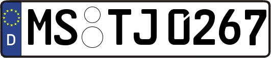 MS-TJ0267
